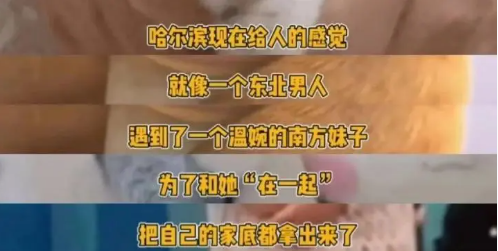 “南方小土豆”只是一种爱称,上纲上线大可不必