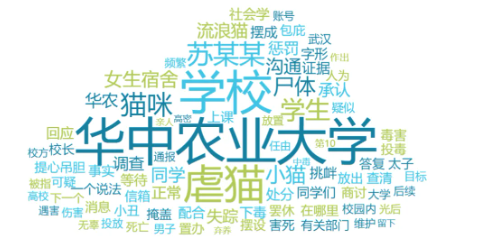 舆情日报|教育类热点·2024年12月4日—12月7日